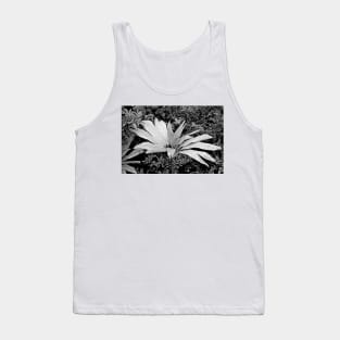 Iao Valley State Monument Study 15 Tank Top